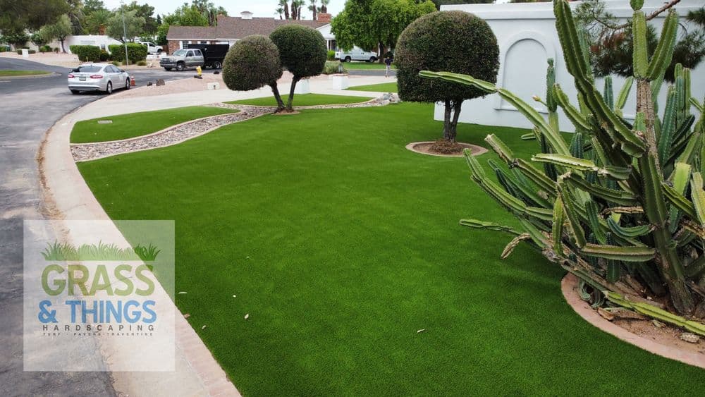 Lush green artificial grass landscaping with cactus and shrubs in a modern outdoor setting.