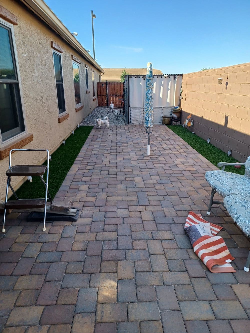 Paved backyard with seating, laundry drying, and two small dogs playing in a sunny area.