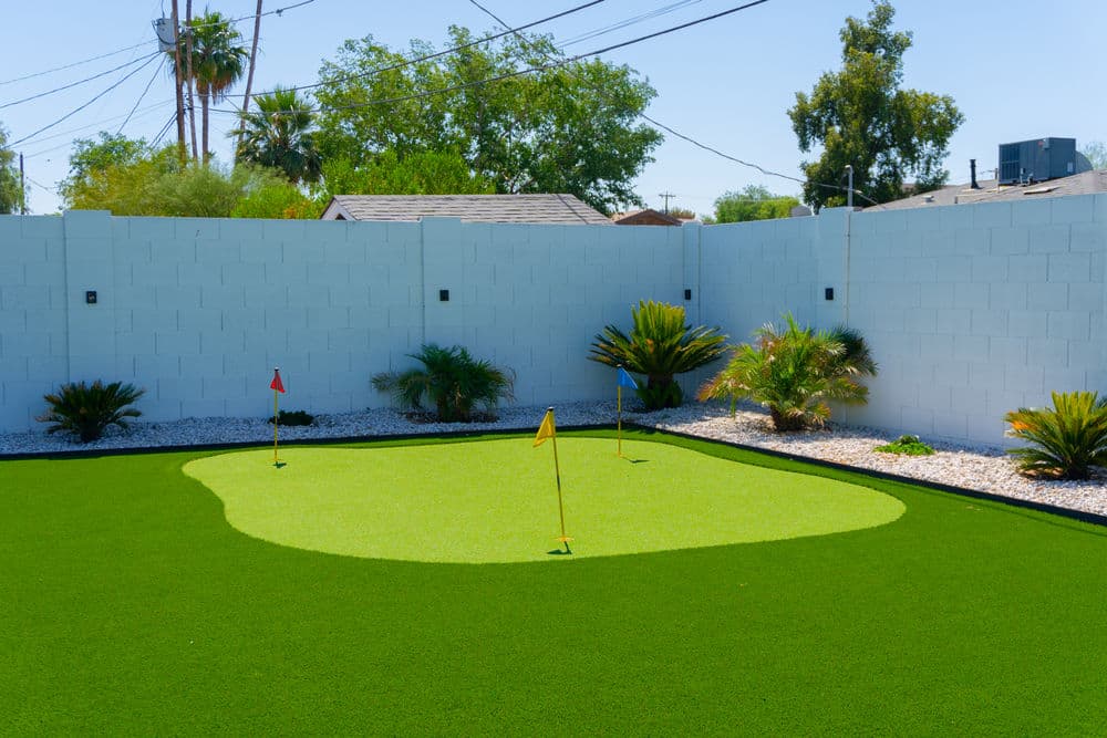 Backyard putting green with artificial turf and palm plants in a sunny outdoor space.